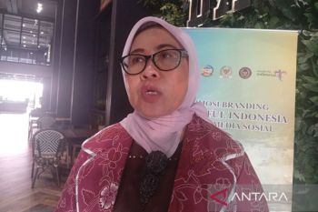 Anggota DPR mengajak semua pihak cari solusi kelangkaan plastik