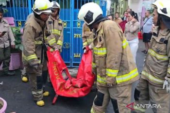 Gatti buyarkan kemenangan Roma, duel sengit kontra Juventus berakhir drama 6 Gol