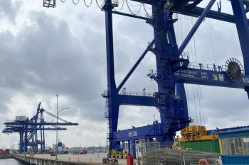 BP Batam catat volume peti kemas pelabuhan tumbuh 12% secara tahunan