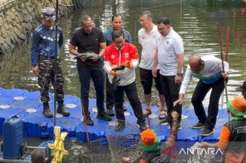 Dinilai ganggu ekosistem, Gubernur DKI Jakarta tinjau penangkapan ikan sapu-sapu