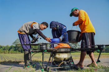Pengendalian hama padi dengan drone di Lumajang