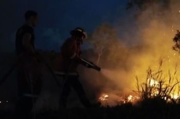 Pemkab Natuna padamkan api bakar lahan seluas empat hektare