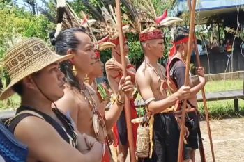 Festival Daren Kanderang Tingang sarana pelestarian budaya dan penguatan UMKM
