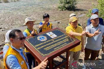 Perkumpulan Lions Indonesia tanam 20 ribu mangrove di Kubu Raya