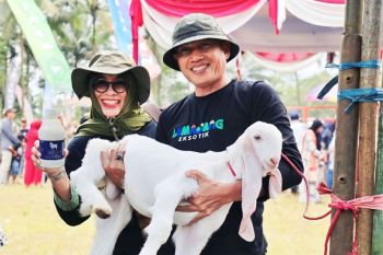 Penetapan IG susu kambing Senduro jadi pengungkit ekonomi di Lumajang