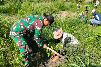 TNI hijaukan bantaran sungai Redelong Bener Meriah untuk cegah bencana