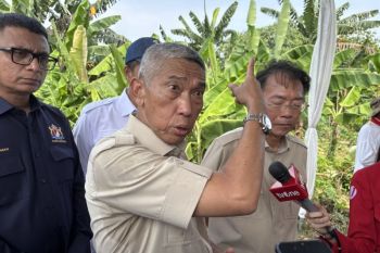 Tiga rekomendasi HKTI untuk mendorong petani agar mau tanam kedelai