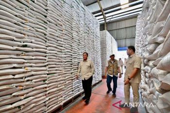 Presiden tinjau Gudang Bulog Danurejo untuk pastikan cadangan beras aman