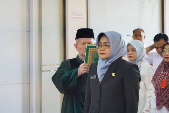 Pemkab Dharmasraya revisi perda LP2B untuk lindungi sawah