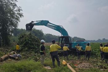 PLN menggencarkan kolaborasi tangani eceng gondok di Waduk Saguling