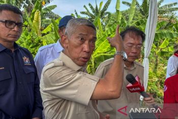 Tiga rekomendasi HKTI untuk mendorong petani agar mau tanam kedelai