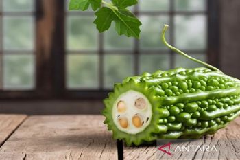 Manfaat mengonsumsi pare, bantu kontrol kadar gula penderita diabetes