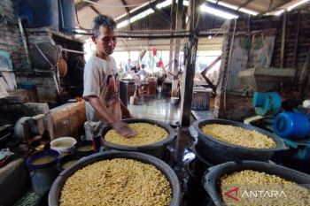 Pemkab Kudus pastikan stok kedelai impor masih tersedia
