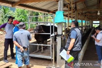 Pemkab Solok Selatan imbau panitia kurban tidak potong hewan produktif