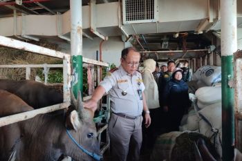 Badan Karantina kawal distribusi hewan kurban melalui tol laut