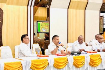 DPMPTSP Papua Barat akselerasi legalitas usaha OAP perkuat iklim investasi
