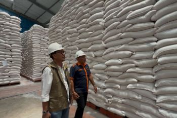 Bulog pastikan stok beras cukup sambut Idul Adha di Bali