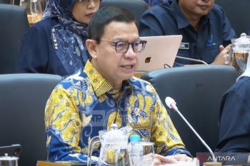 Indonesia to optimize domestic drug production to face global pressure