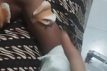 Livery spesial Yamaha di WSBK Mandalika 2023: Terima Kasih Indonesia