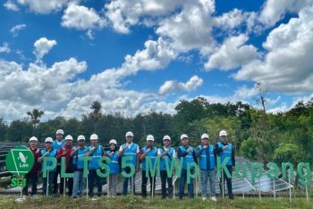 PLN-IPP optimalkan PLTS Oelpuah jadi tulang punggung energi hijau NTT