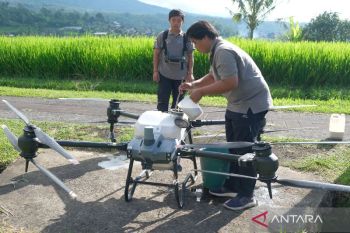 20 nama DCS anggota DPD Dapil Kalteng