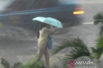 BMKG: Kamis ini Jawa timur berpotensi hujan deras hingga sangat deras