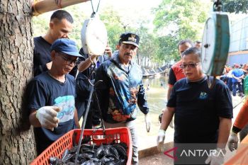 Penanganan ikan sapu-sapu di Jaksel sesuai rekomendasi MUI
