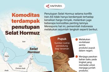 Komoditas terdampak penutupan Selat Hormuz