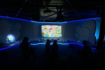Laporan sebut jumlah karya bacaan digital di China capai 70 juta judul