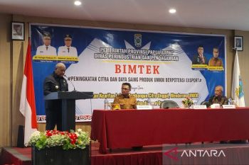 Papua Barat tingkatkan kapasitas UMKM hasilkan produk ekspor