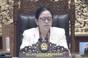 Rapat paripurna DPR setujui RUU PSDK disahkan menjadi undang-undang