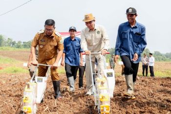 Pemprov Banten kembangkan 9.000 hektare lahan jagung di Lebak
