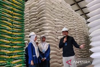 Bulog Sumut edukasi pelajar di Medan mengenai swasembada pangan