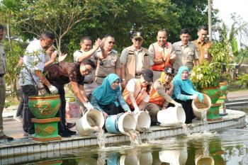 Pemkot dan DPRD ajak perempuan lebih siap jaga ketahanan pangan