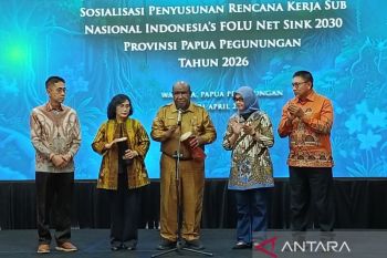 Kemenhut dorong renja penurunan emisi rumah kaca di Papua Pegunungan