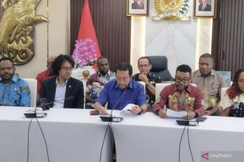 DPD urges government to draft roadmap to end Papua conflict