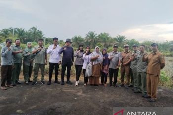 Dukung Indikasi Geografis, Kanwil Kemenkum Riau Fasilitasi Pembentukan MPIG Nanas Mahkota Siak