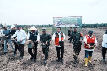 Pemkab Banyuasin optimalkan Lahan Cetak Sawah Rakyat guna perkuat ketahanan pangan
