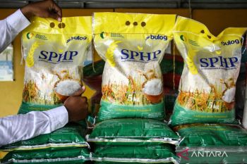 Bulog Kalteng sudah gelontorkan 1.600 ton beras SPHP jaga stabilitas harga
