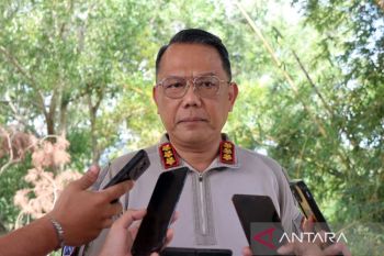 Empat anggota KKB tewas usai kontak tembak di Dekai