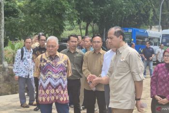 Kementrans menyiapkan hilirisasi ubi guna tingkatkan kualitas ekspor