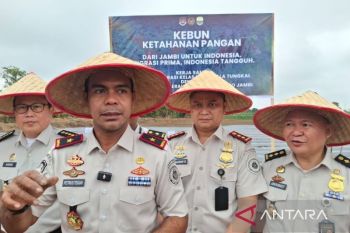 Imigrasi Jambi tanam ribuan benih melon dan cabai dukung ketahanan pangan