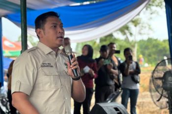Wamentan: Percepatan tanam langjah strategis antisipasi dampak El Nino