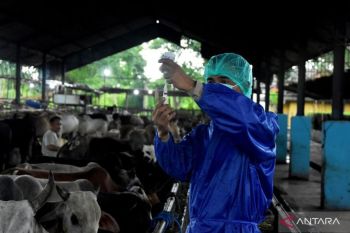 Pemkab Bekasi terjunkan 32 personel pengawasan untuk periksa hewan kurban