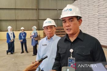 Bulog Sumut koordinasi pemerintah salurkan  jagung SPHP ke peternak