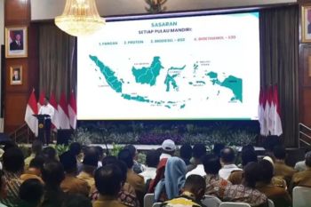 Bupati Batang Hari hadiri rakornas kementerian pertanian RI