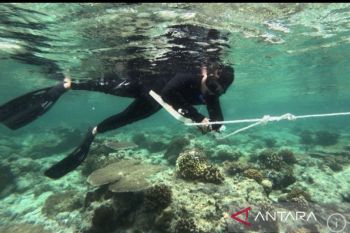 Kaltim perkuat tata kelola kawasan konservasi laut