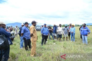 Pemprov Papua Pegunungan dukung pembukaan lahan pertanian 800 hektare di Jayawijaya