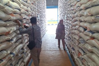 Ekspor beras Indonesia ke Malaysia masih tahap negosiasi harga