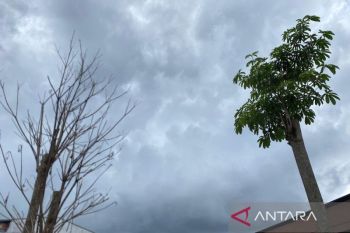 BMKG imbau masyarakat agar waspada hujan ringan hingga sedang di Sultra hari ini